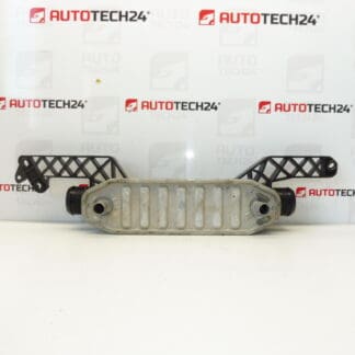 Vaihtimen ilmanjäähdytysneste Citroën Peugeot 2.0 2.2 HDI 0384G7