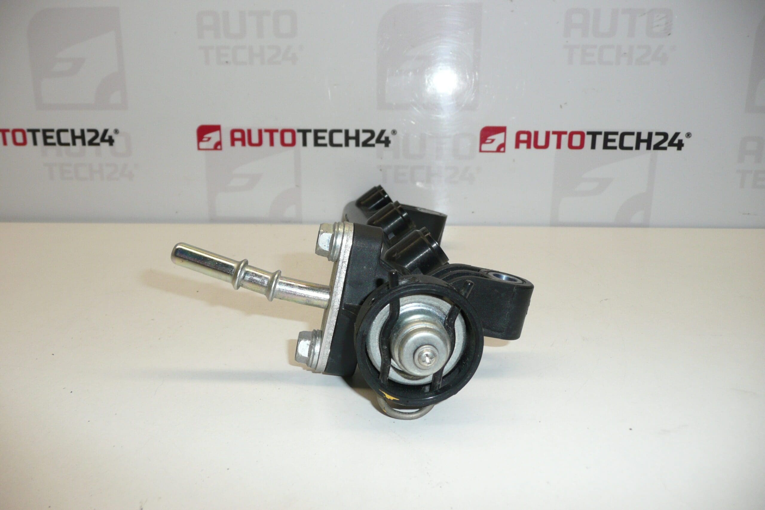 Ruiskutusramppi Citroën Peugeot 23814-0Q010-A 1579JP