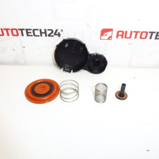 Venttiilikopan kalvosarja 1.6 HDI 0248S0