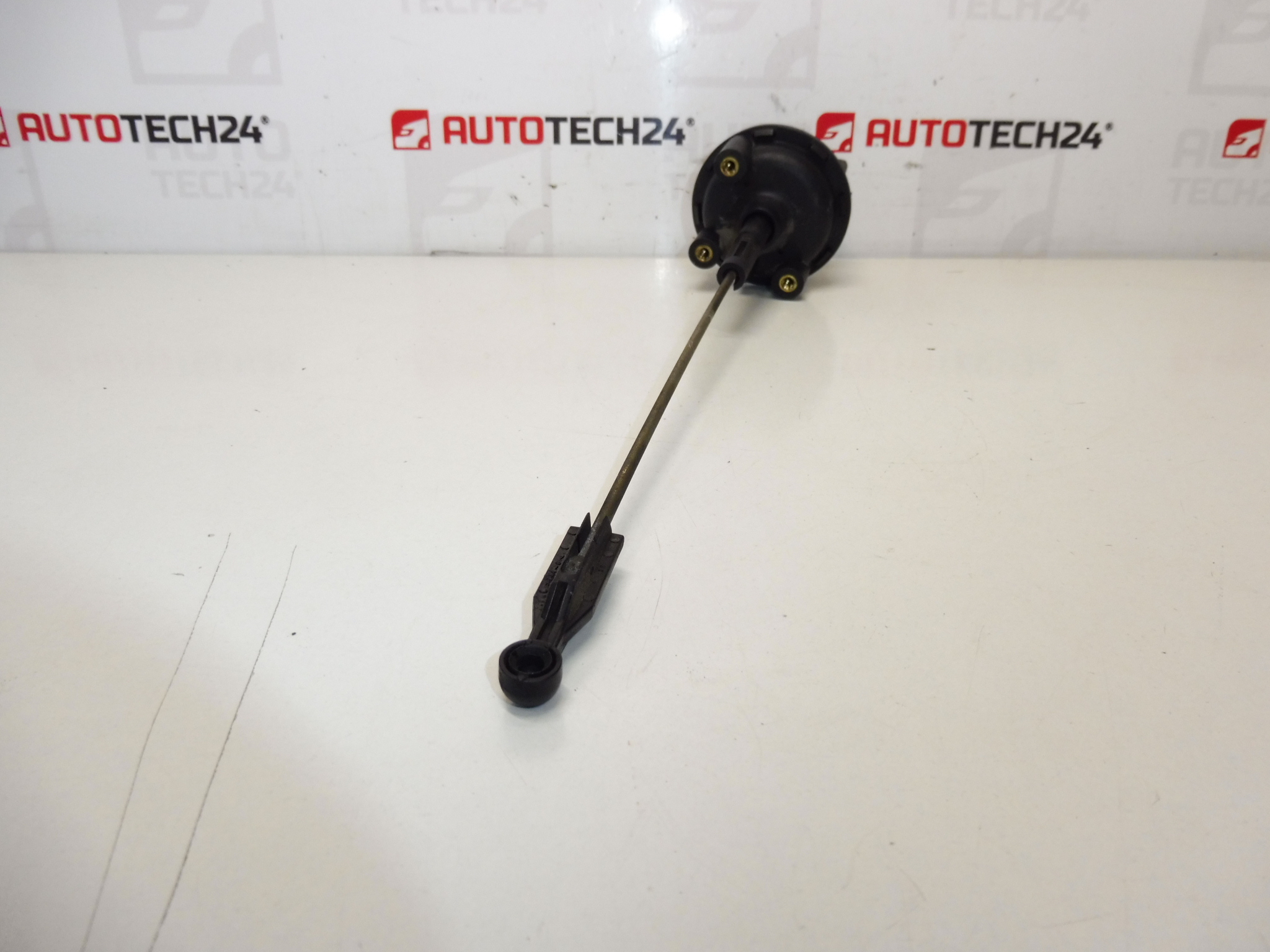 Tyhjiökaasun toimilaite Citroën Peugeot 9634638580 036387