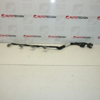 Ruiskutussarja DELPHI Citroën Peugeot 2.0 HDI 9662908580 6569Y5