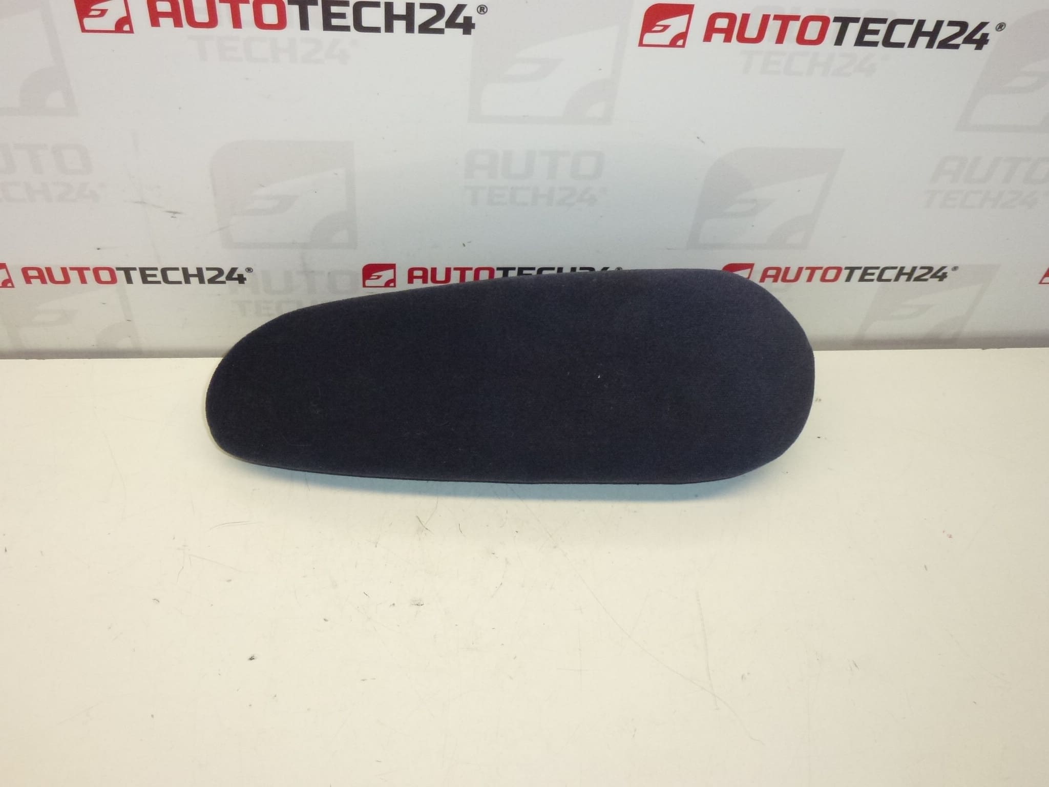 Vasen käsinoja Citroën Peugeot 8830H4