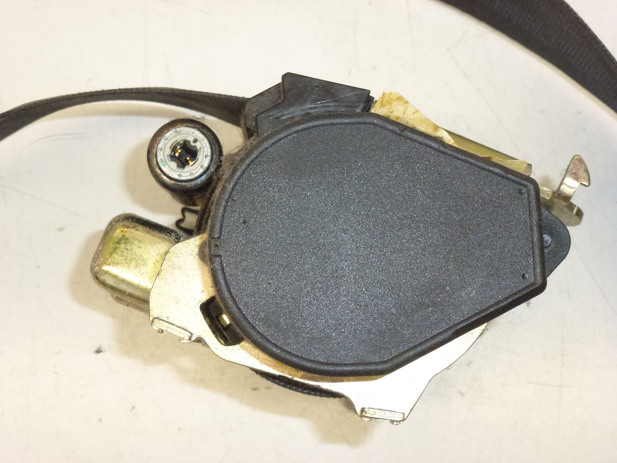 Vasen etuhihna Citroën Xsara Picasso 96314387XX 8974L7