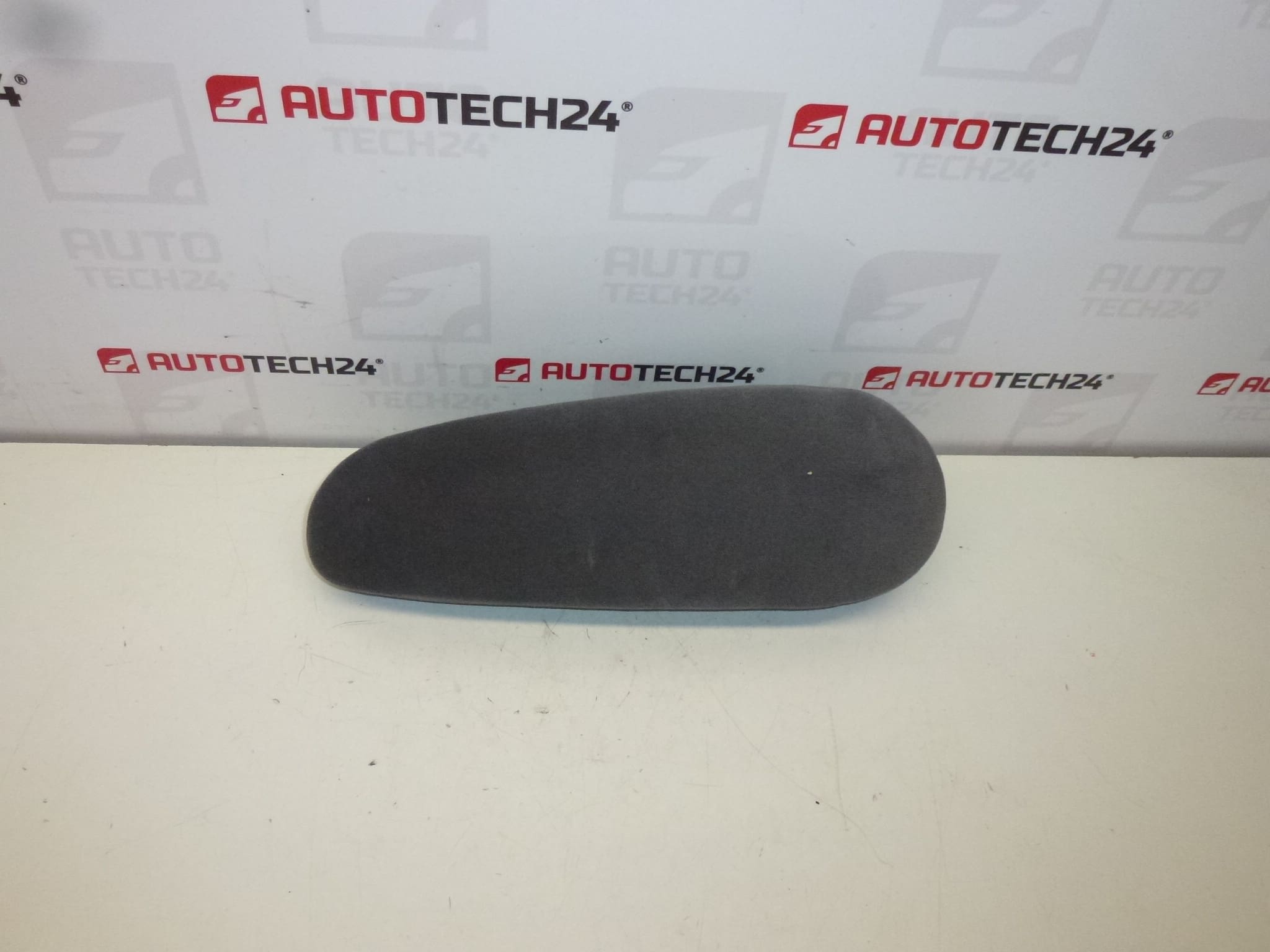 Vasen käsinoja Citroën Peugeot 8830X9