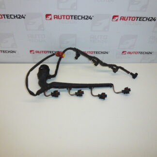 Ruiskutuskokoonpano Citroën Peugeot 1.4HDI 9649833780 9688063580 6558PS