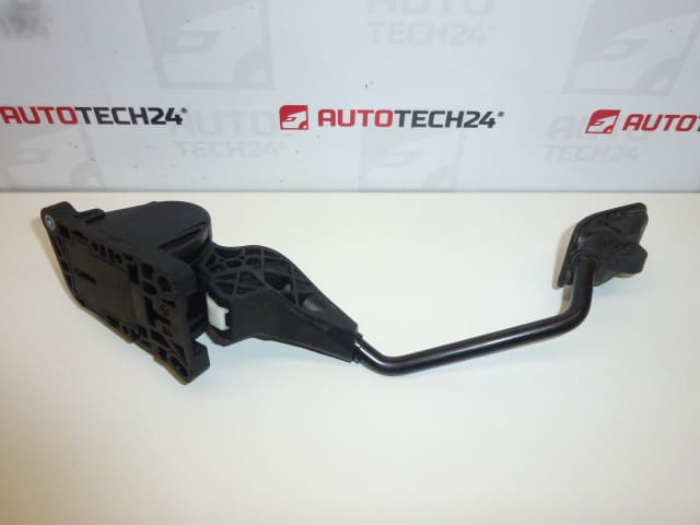 Kaasupoljin Citroën Peugeot Bosch 9653105280 0280755036 1601V0