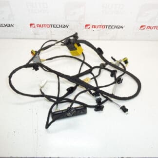 Citroen C4 Picasso Valeo 5243596 Kuljettajan istuin