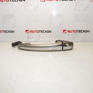 Citroën 9101hs oven kahvan ovi