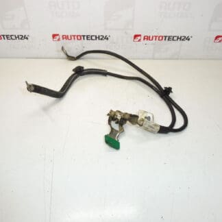 Citroën Peugeot 9661191580 miinus nippu