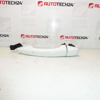 Citroën Peugeot DS EWP 9101LW ovenkahva