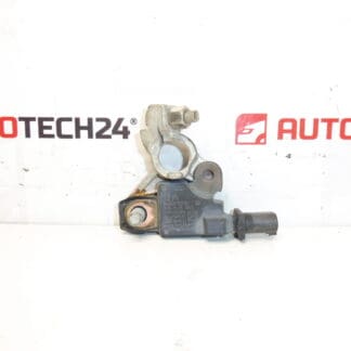 Citroën Peugeot 9666919780 negatiivinen napayksikkö