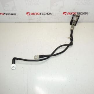 Positiivinen nippu akkulle Citroën Peugeot 1612229980