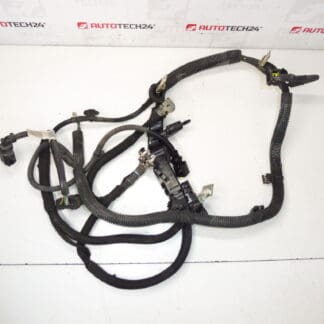 Positiivinen nippu Citroën Peugeot 1