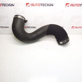 Ilmaliitäntä Citroën Peugeot 2.0 HDI 0382NE