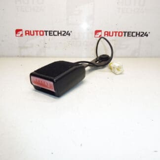 Peugeot 207 passikotelo 8975S9