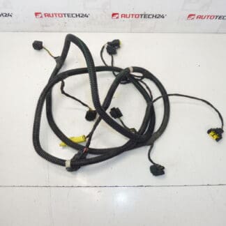 Citroen C4 Picasso etusumuvalo ja anturin valjaat 9663255080 6575Y2