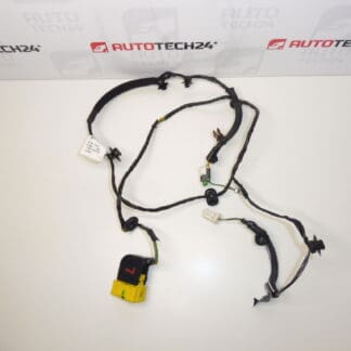 Citroen C4 B7 Kuljettajan istuinvaljaat 6505G1