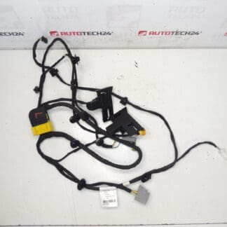Citroen C4 Picasso Valeo Kuljettajan istuimen valjaat 6505T6 5243566