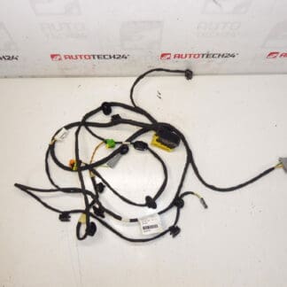 Matkustajan istuimen valjaat Citroen C4 Picasso Valeo 6505W1 5243584